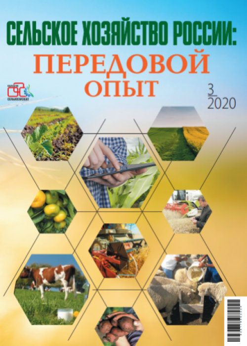Сельское хозяйство России: передовой опыт