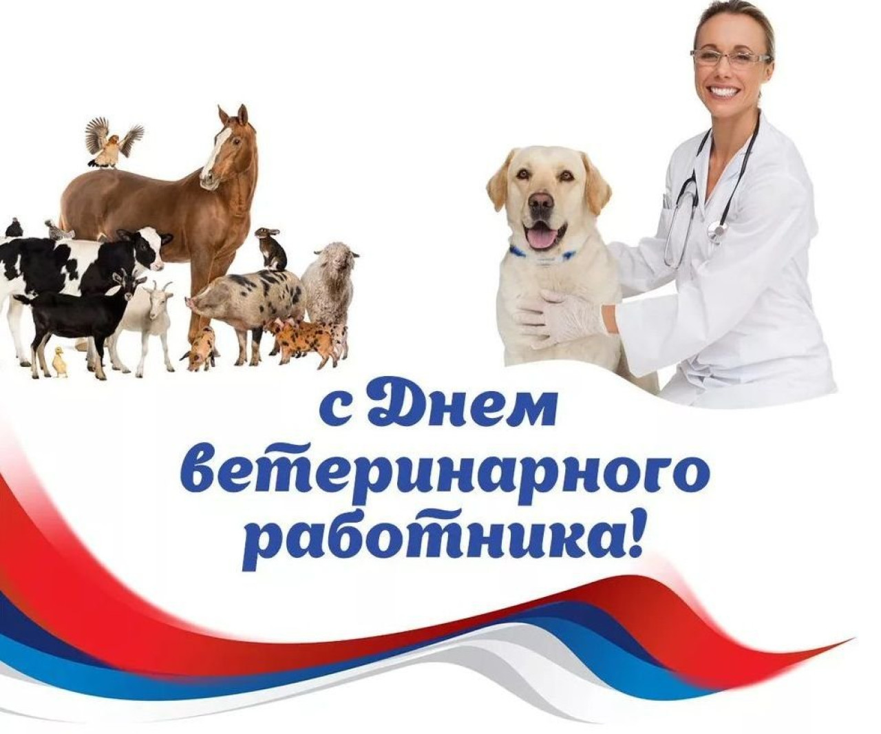 Ветеринарная тимашевск