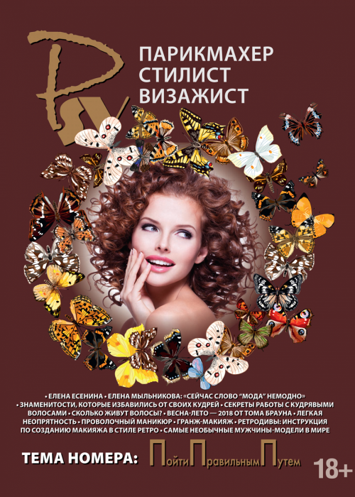 Парикмахер-стилист-визажист, № 4, 2017