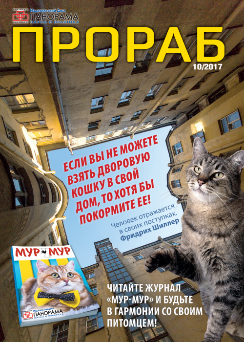 Прораб, № 10, 2017