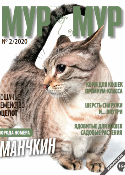 Мур-мур, № 2, 2020