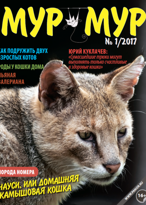 Мур-мур, № 1, 2017