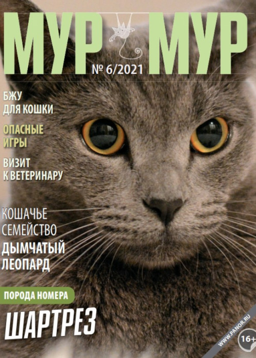 Мур-мур, № 6, 2021