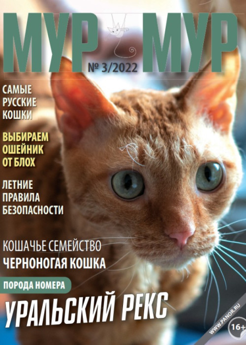 Мур-мур, № 3, 2022