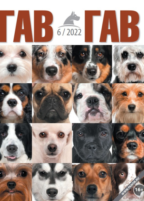 Гав-гав, № 6, 2022
