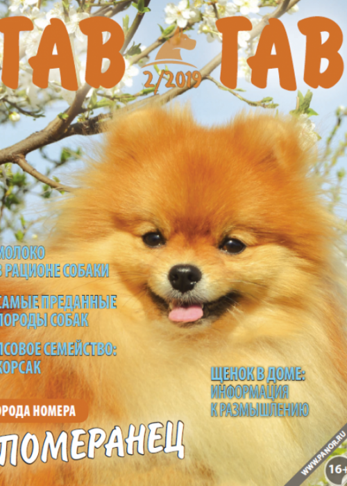 Гав-гав, № 2, 2019