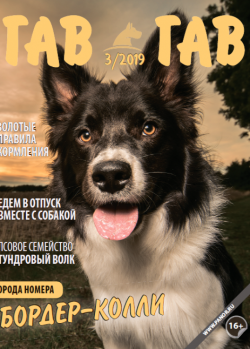 Гав-гав, № 3, 2019