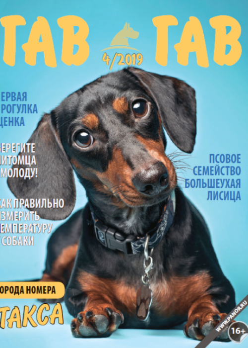 Гав-гав, № 4, 2019