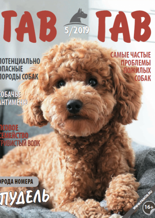 Гав-гав, № 5, 2019