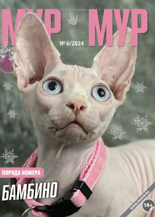 Мур-мур, № 6, 2024