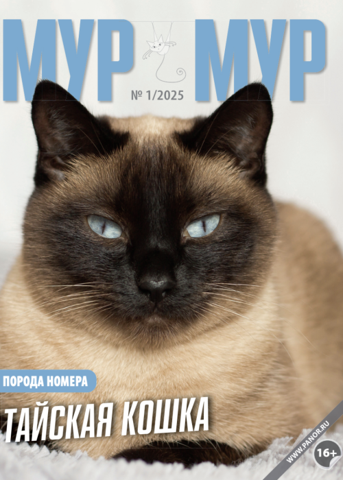 Мур-мур, № 1, 2025