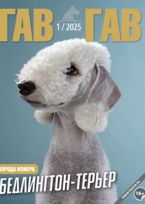 Гав-гав, № 1, 2025