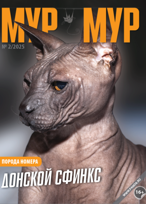 Мур-мур, № 2, 2025