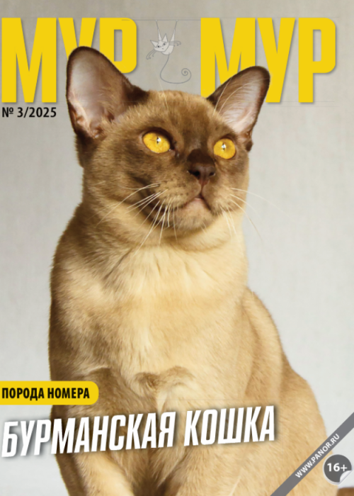 Мур-мур, № 3, 2025