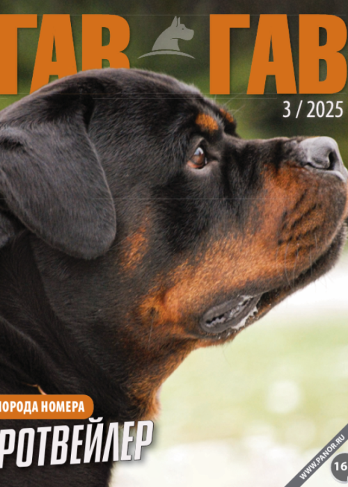 Гав-гав, № 3, 2025