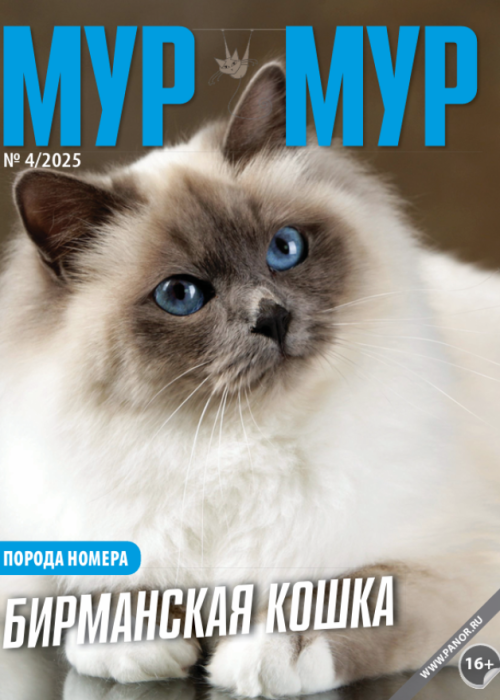 Мур-мур, № 4, 2025