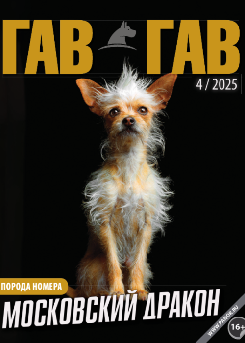 Гав-гав, № 4, 2025