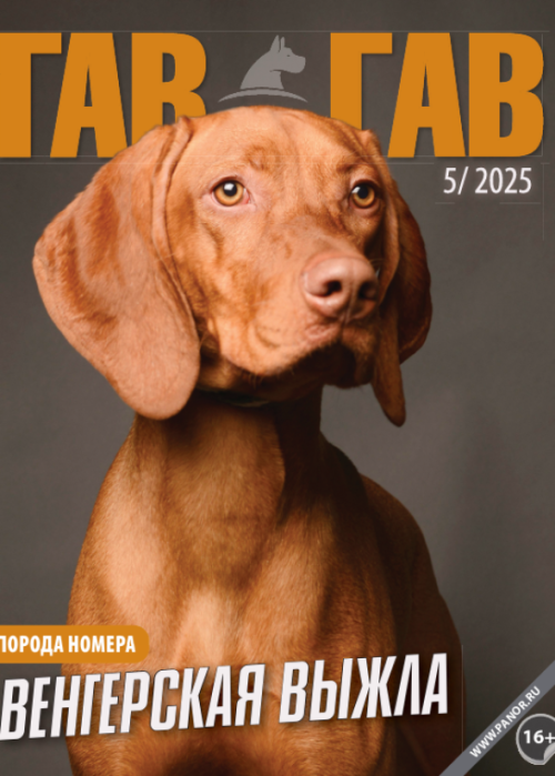 Гав-гав, № 5, 2025