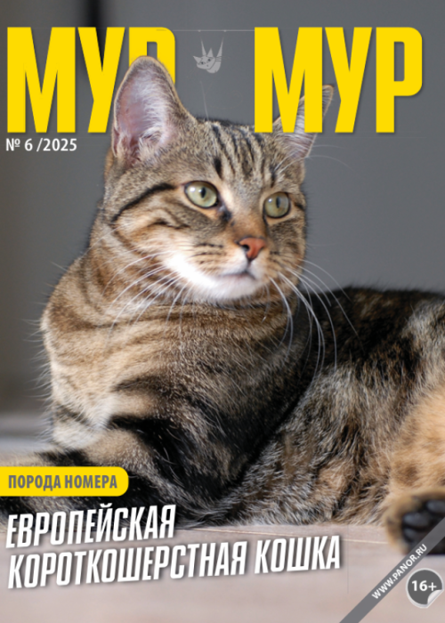 Мур-мур, № 6, 2025