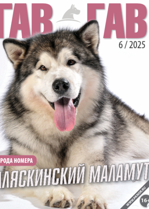 Гав-гав, № 6, 2025