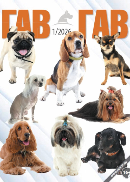 Гав-гав, № 1, 2026